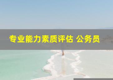 专业能力素质评估 公务员